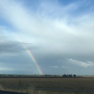 Meet your Posher, Paloma